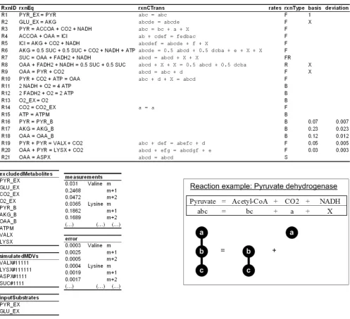 Figure 4Overview of the network model definition text file(C2–C3). Alphabet letters in the atom transition equation is used to represent the transfer of first carbon atom of pyruvate to COOverview of the network model definition text file