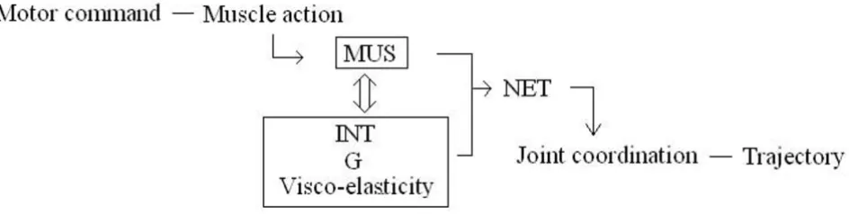Table 2: Correlate coefficients between peak angular velocity and torque impulse.