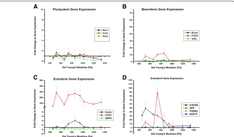 Figure 4 Change in pluripotent (A), mesoderm (B), ectoderm (C), and endoderm (D) gene expression during spontaneousdifferentiation of ESD3 embryonic stem cells due to changes in substrate stiffness