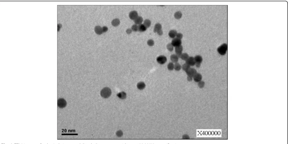 Fig. 2 TEM image of spherical citrate-stabilized silver nanoparticles at 400,000X magnification