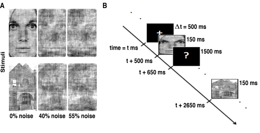 Figure 3.1 Experimental design. 