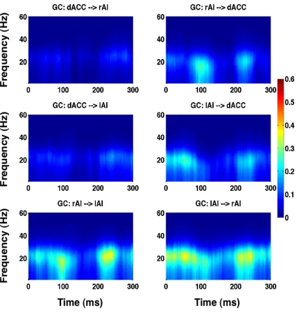 Figure 3.10 Granger causality spectra among the SN nodes as a function of time and frequency for stimuli with 55% noise