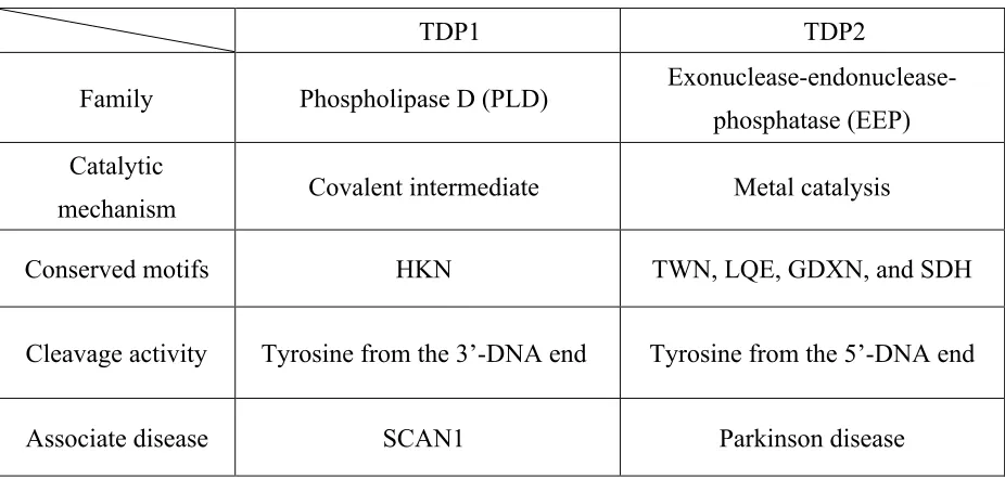 Table 1.2 Comparison of TDP1 and TDP2. 