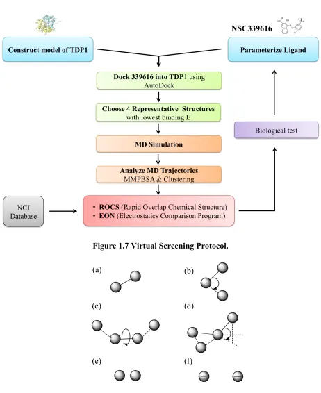 Figure 1.7 Virtual Screening Protocol. 