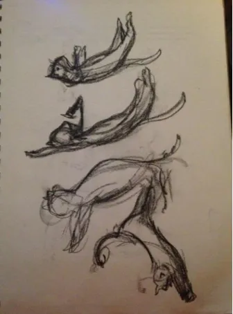 Figure 3.4: Sketch of cat from live observation       