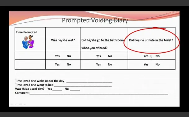 Figure 4. Screenshot of Prompted Voiding Diary Instruction 