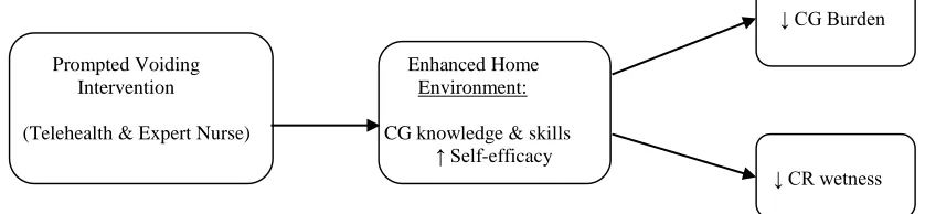 Figure 1.  Model of UI Chronic Illness Trajectory Management through Modification of the Home Environment                                                                                                   