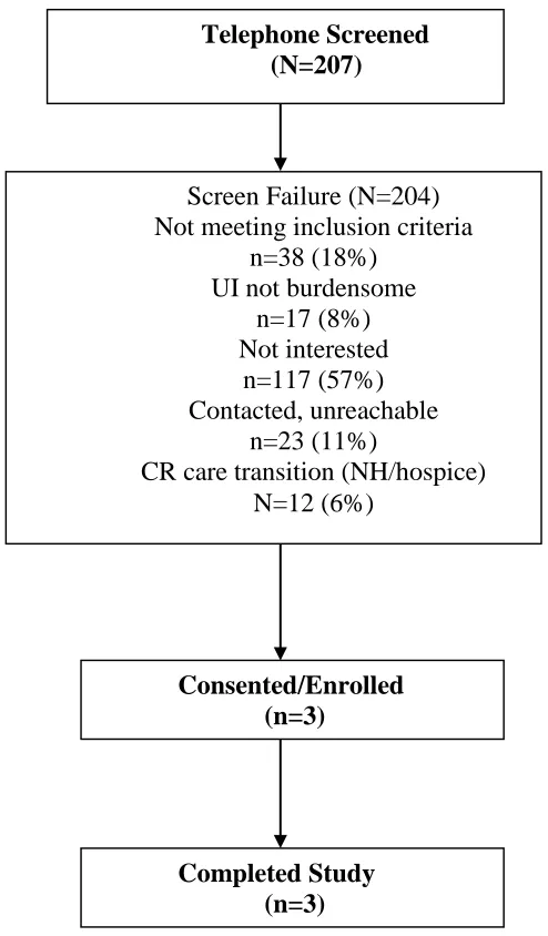 Figure 3.  Screening and Flow of Participants in the Study 