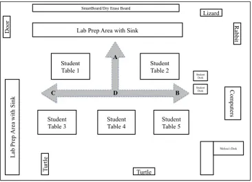 Figure 3. Schematic of Melissa's classroom with typical pacing patterns. 