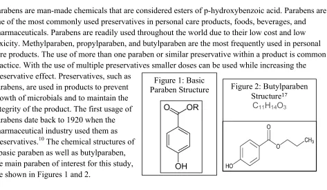 Figure 1: Basic 