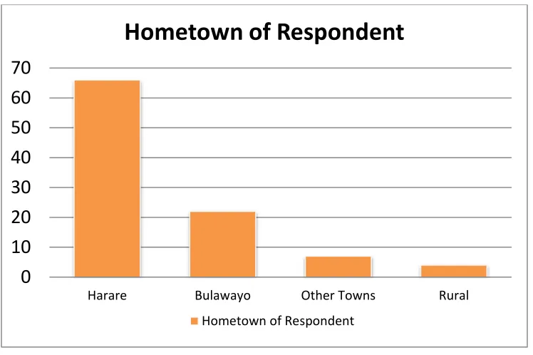 Figure 8 Diaspora Hometown 
