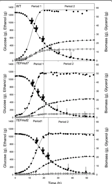 Figure 2 Substrate and products masses evolutions during theindicate the time points when glucose feeding was carried out inorder to adjust glucose concentration in the fermenter up to 100 gLphaseconcentration of 50 g Lwild type and the mutants fermentatio