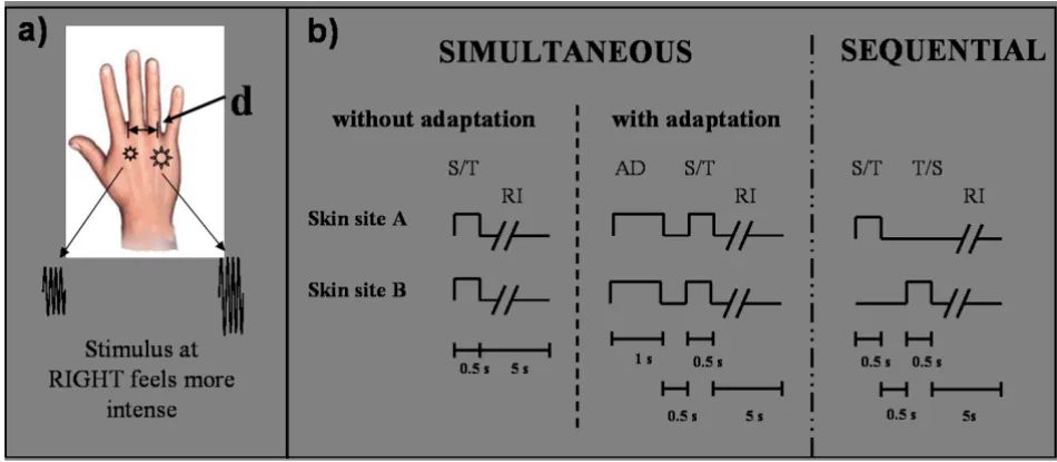 Figure 2Timing diagram of the protocolspaced 30 mm apart, and the inter-stimulus distance (d) was modified on a trial-by-trial basis based on subject performance