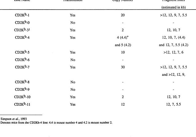 Table vi Southern Blot Analyses of CD2K^ Transgenic Mice