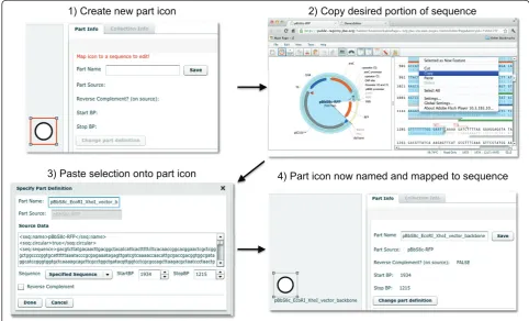 Figure 2 Mapping a DeviceEditor part icon to an annotated DNA sequence. A new part icon on the design canvas (top left) is created byclicking on the desired SBOLv icon (here “Origin of Replication”) in the left panel of the user interface (Figure 1)