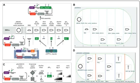Figure 3 Example biological designs rendered on the DeviceEditor canvastag. These components are arranged from left to right from 5(purple highlight, bottom right), a silent mutation in