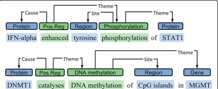 Figure 2 Event representation. BioNLP Shared Task representation for annotation of phosphorylationevents (above) and representation applied for DNA methylation (below).