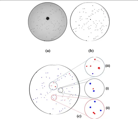 Figure 3 (a) Spatial filtering and colony counting. Raw plate image captured by the imaging camera