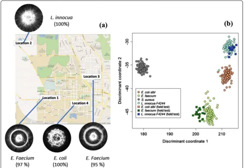 Table 1 Field-test data: GPS location, types of bacteria, and their classification accuracy