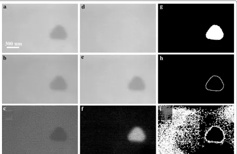 Fig. 2 Beam-induced Au crystal growth in the nanoaquarium with transmitted beam current of 7.8 nA spread over ~2 μm diameter, resulting in a water at concentration of 20 mM