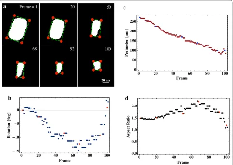 Fig. 5 Beam-mediated etching of gold nanorods (nominally 50 The images are binarized and superposed with the minimum bounding × 80 nm) suspended in water (pH ~7) with trace amounts of the surfactant cetrimonium bromide (CTAB) and chloroauric acid