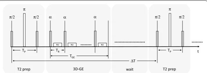 Fig. 1 Schematically representation of the T2P-3DGE sequence. For simplification, only the RF pulses are provided