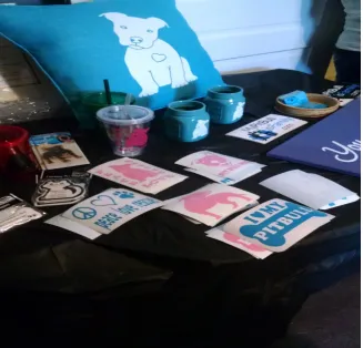 Figure 2 Pit Bull Merchandise 