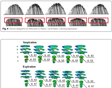 Fig. 4 Vector diagrams of velocities in Plane 1 and Plane 2 during expiration