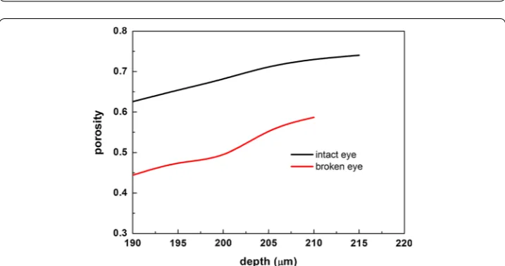 Fig. 3 an interval of 5µm). As surface of eye was set to be 0 μm, image close to the innermost regions of TM