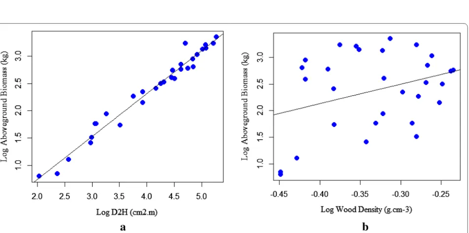 Fig. 3 Linear regression for log-transformed data: a aboveground biomass against D; b aboveground biomass against height
