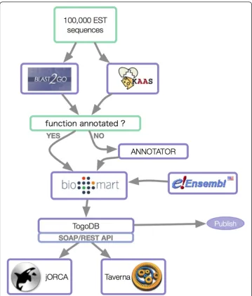 Figure 2 Workflow to annotate large sets of ESTs. Sequences are firstly annotated using high-throughput systems (e.g
