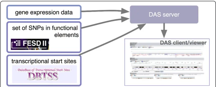 Figure 3 System to enrich TFBSs with differential expression data. Data on transcriptional start sitesand on functional element SNPs are combined using distributed annotation system (DAS) protocol layersfor the DBTSS and FESD II databases, respectively