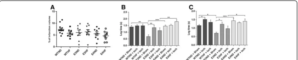 Figure 2 Effect of apolipoprotein E isoforms alone or combined with a western diet on infarct size
