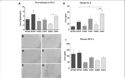 Figure 4 High-fat diet aggravates ischemia-induced cyclooxygenase-2 immunoreactivity and plasma IL-6 levels in ApoE4-TR mice.and control mice; ND, normal diet; TR, targeted replacement