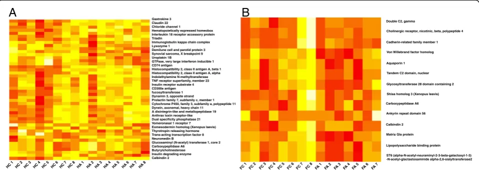 Figure 3 Allergy induces changes of gene expression in the mouse brain as shown by cluster analysis
