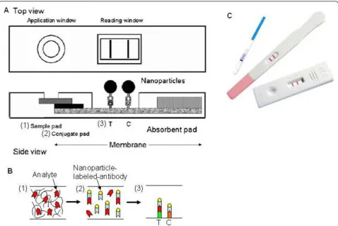 Figure 1 Test strip platform. (A) Schematic design of a test strip platform [51]. The sample fluid is drawn from the sample pad into the conjugatepad and membrane through the capillary action