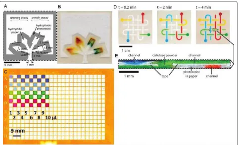 Figure 2 Microfluidics paper based platform. (A) Schematics of a microfluidic paper-based analytical device which can detect glucose and proteinin urine simultaneously [71]