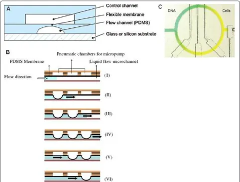 Figure 3 Essential functional fluidic units on the multilayer soft lithography platform