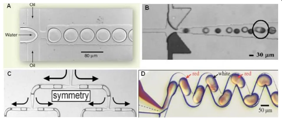 Figure 4 Multiphase flow droplet microfluidics platform. (A) Droplet formation in microchannels when two immiscible fluid (water and oil)streams merge [220]