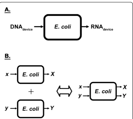 Figure 1 Black box representation of thesystemDNA act as inputs to the system, with the resultant RNA producedthe output.effect in linear systems