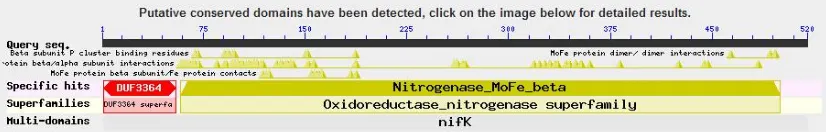 Fig. 3. Secondary structure prediction of nifK protein 