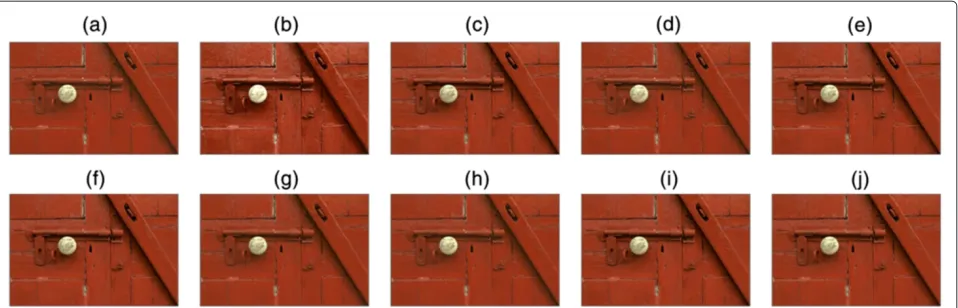 Figure 9 The small region is cropped from Figure 8 (a-j).
