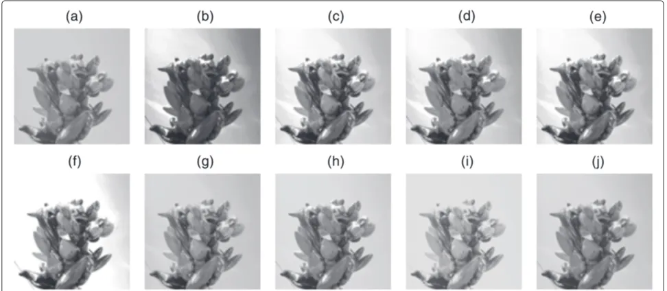 Figure 10 Comparison of enhancement methods with test image Toy. (a) Original. The enhanced image: (b) Global HE