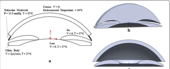 Fig. 2 dimensional representation of the aqueous humor model domain based on SolidWorks2014, and the corresponding structure model (cornea and iris) is shown in is stream velocity, a A two-dimensional representation of the idealization model and boundary c