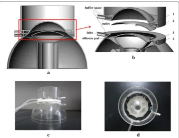 Fig. 3 tion geometry in Fig. silicone pad, two buffer spaces, a sink and many small holes (pipe into the inlet buffer space, through 2 circle of small holes (all directions, passes through the pupil, enters the anterior chamber, uniform inflow of small hol