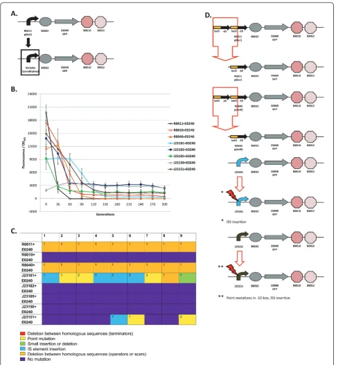 Figure 4 Loss-of-function mutations and evolutionary stability dynamics in re-engineered I7101 circuits (A) I7101 (R0011 + E0240) re-engineering involves swapping out the R0011 promoter