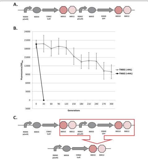 Figure 1 Loss-of-function mutations and evolutionary stability dynamics in T9002. (A) The T9002 genetic circuit