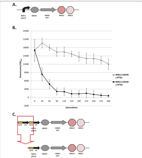Figure 2 Loss-of-function mutations and evolutionary stability dynamics in I7101(bent arrows), ribosome binding sites (ovals), coding sequences (arrows), and transcriptional terminators (octagons)
