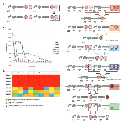 Figure 3 Loss-of-function mutations and evolutionary stability dynamics in re-engineered T9002 circuits