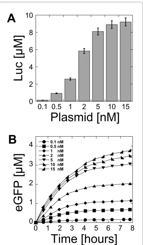 Figure 2 Protein synthesis as a function of plasmid concentra-amino acids, 2.5% PEG 8000)